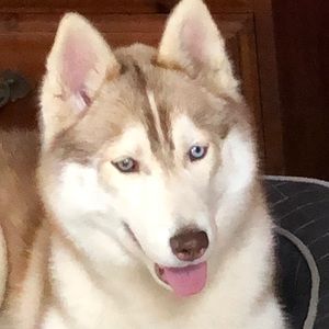 Meet your Posher, Melinda